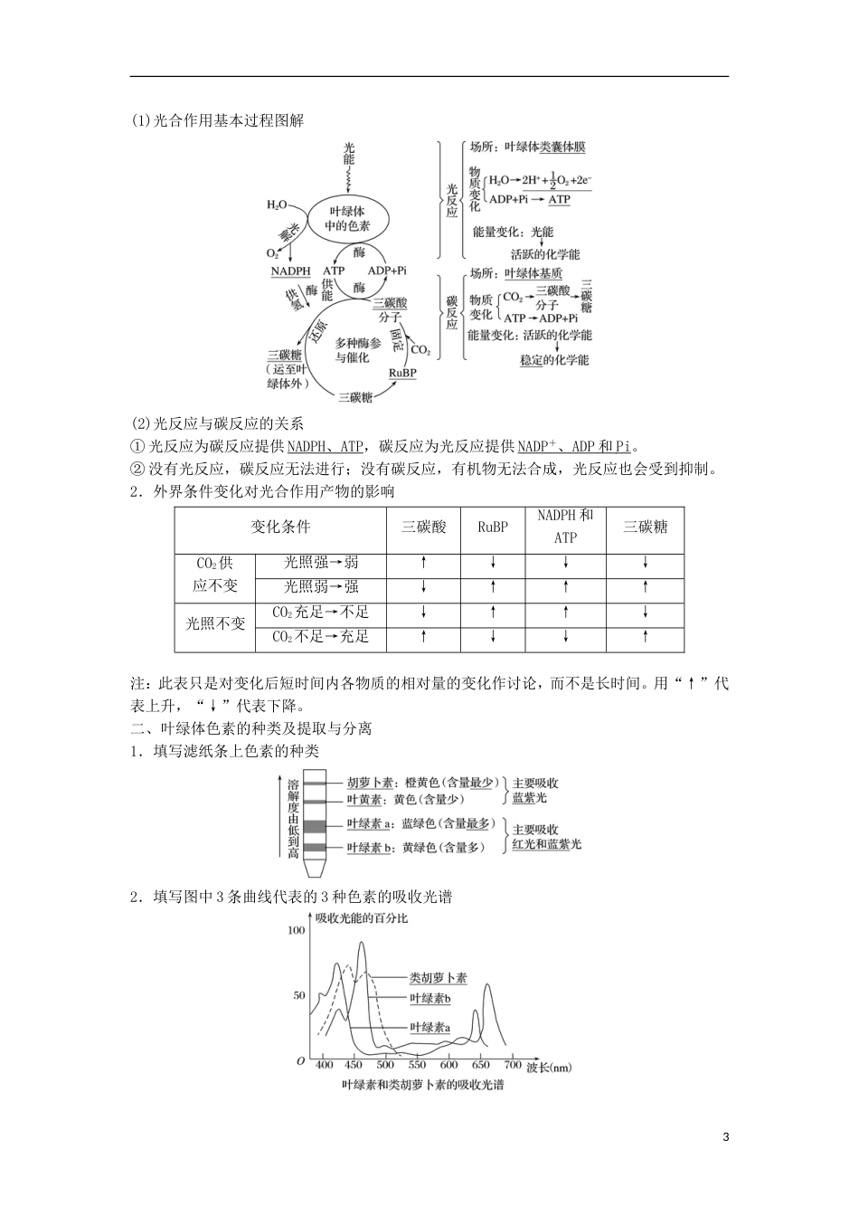 高三生物二轮专题复习专题三细胞呼吸与光用考点光用学案新人教_第3页