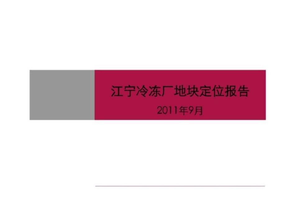 南京江宁冷冻厂地块定位报告文档资料_第1页