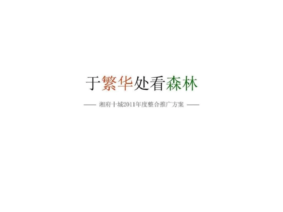 度长沙湘府十城整合推广方案文档资料_第3页