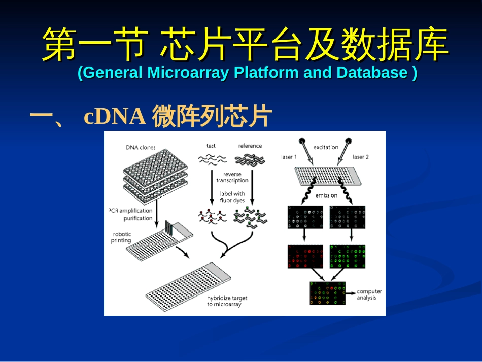 7基因芯片数据分析_第2页