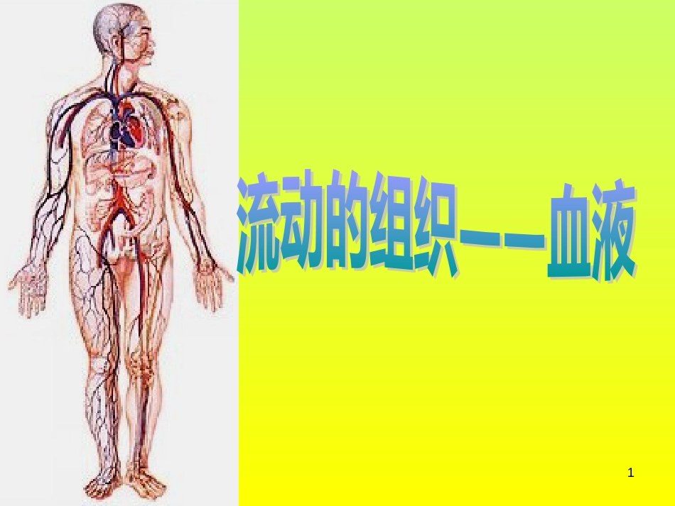 4-41《流动的组织--血液》_第1页