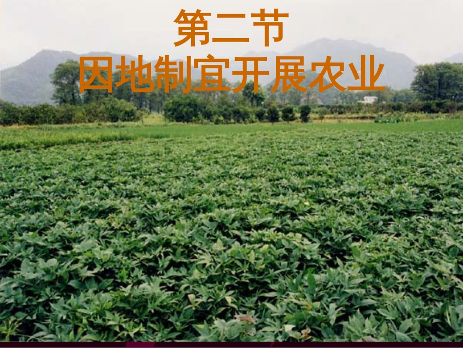 42因地制宜发展农业_第1页