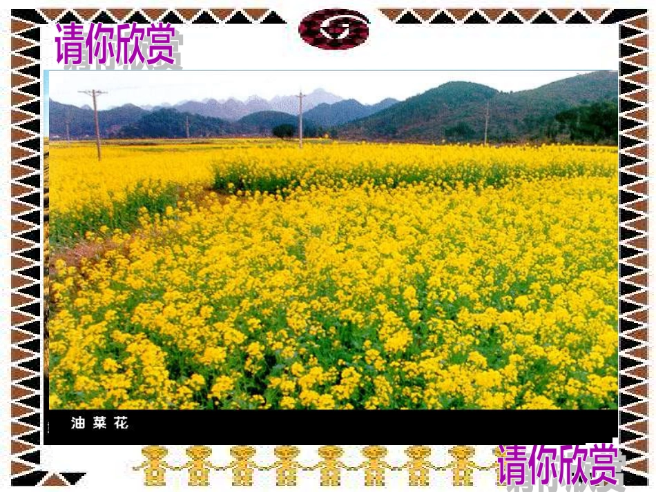 42因地制宜发展农业_第2页