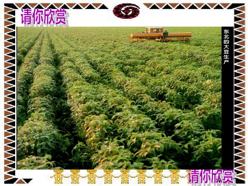 42因地制宜发展农业_第3页