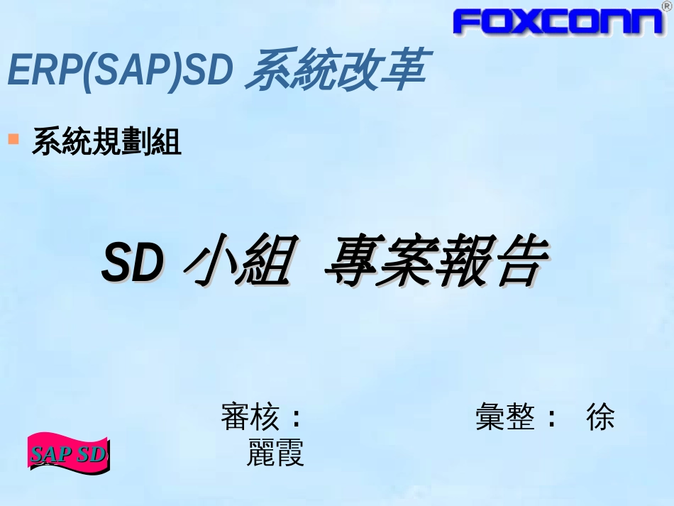 ERP(SAP)SD系统改革_第1页