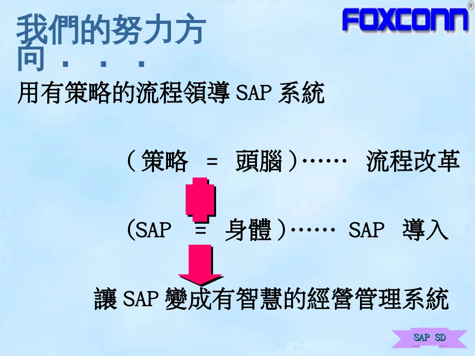 ERP(SAP)SD系统改革_第2页