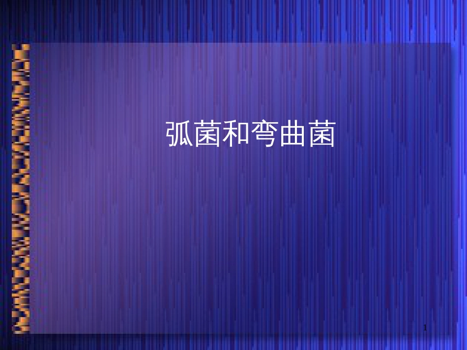 1、病原性真菌检验 临床微生物学 (第三军医大学)_第1页