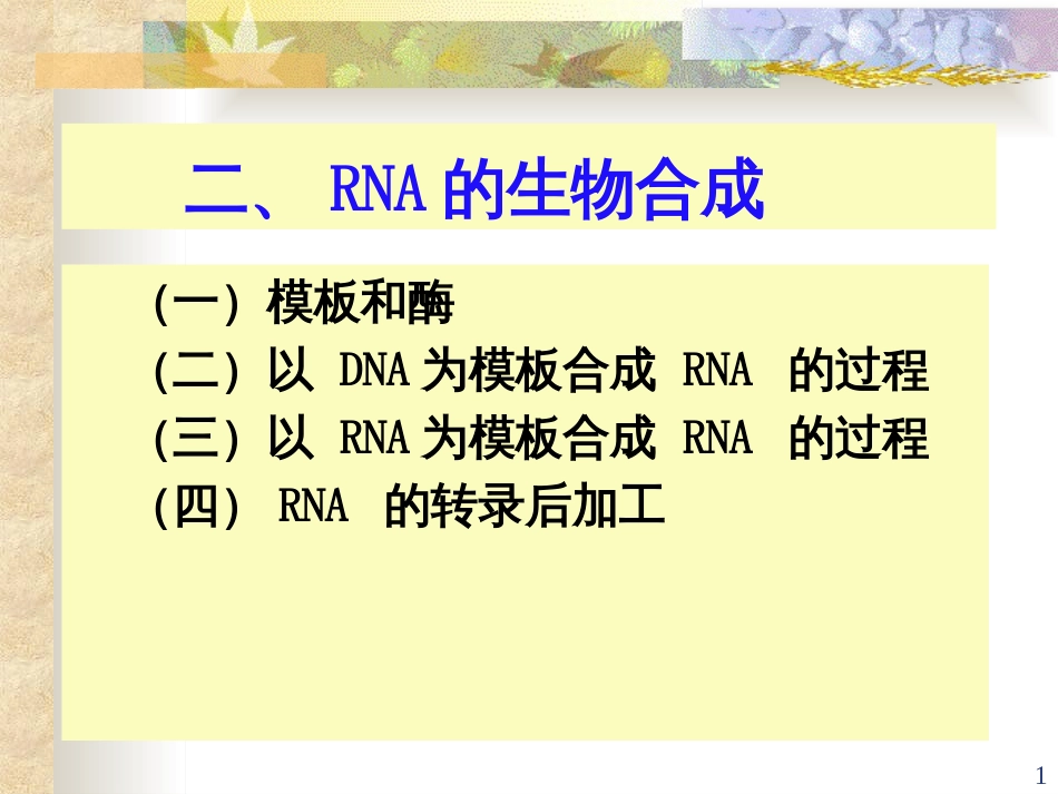 11RNA的生物合成一、转录-RNA的生物合成_第1页