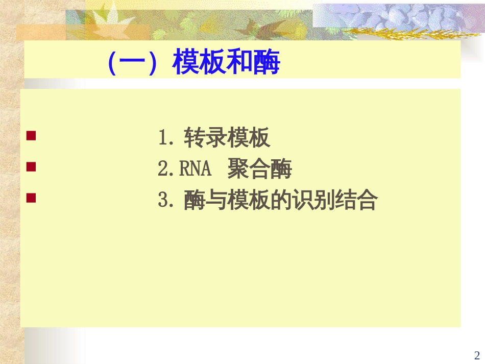 11RNA的生物合成一、转录-RNA的生物合成_第2页