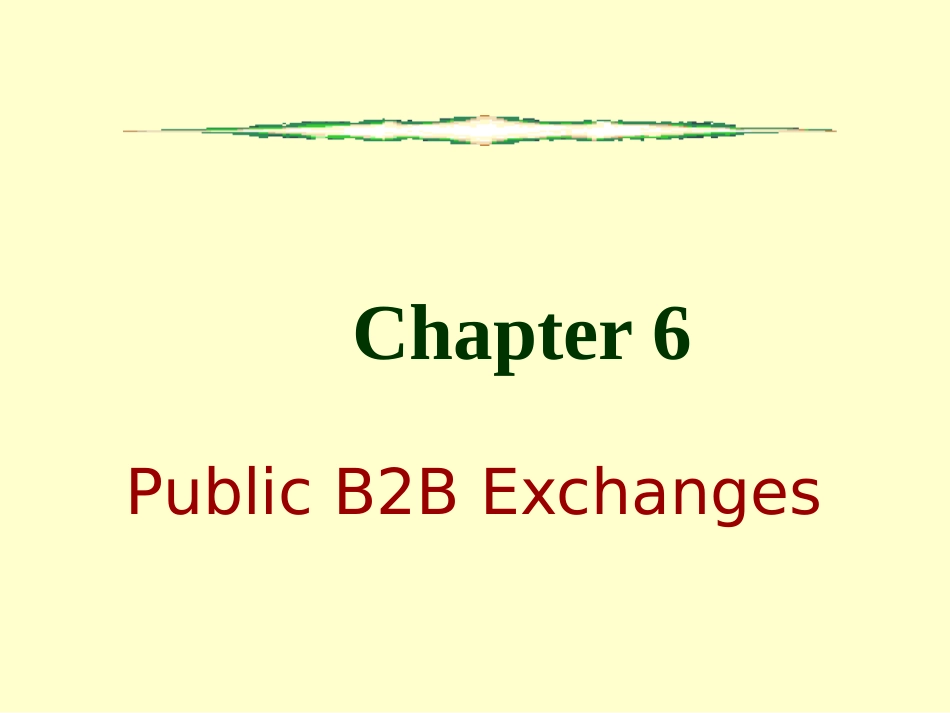 _06PublicB2BExchanges(电子商务,英文版)_第1页