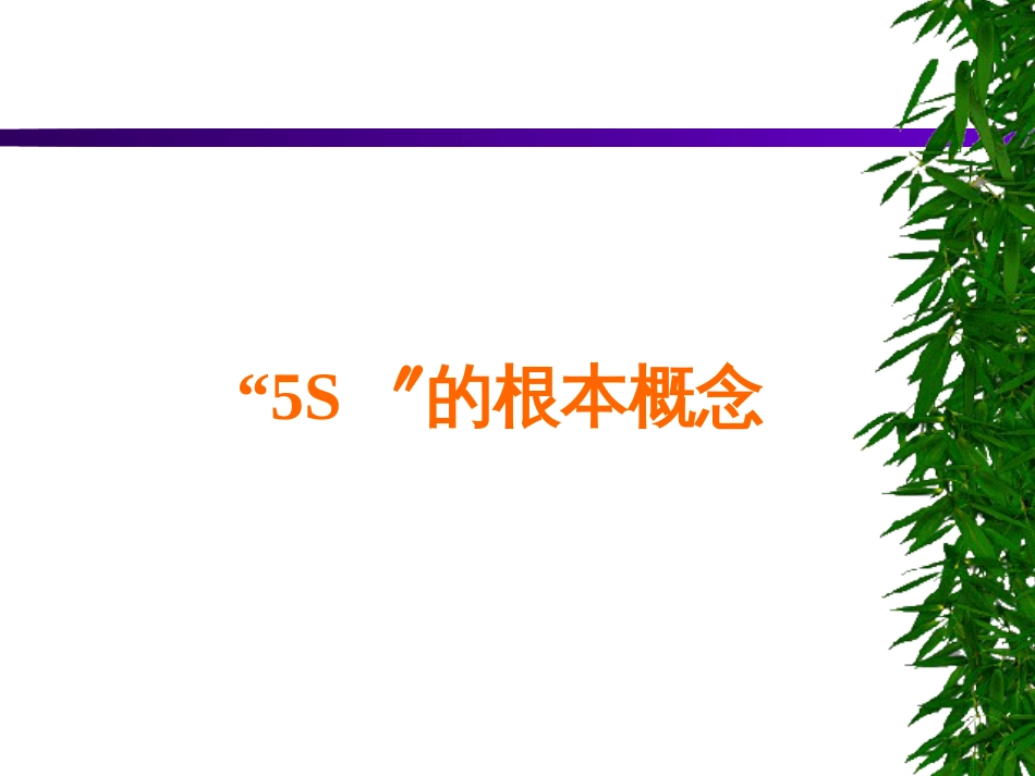 5S活动教程 _第3页