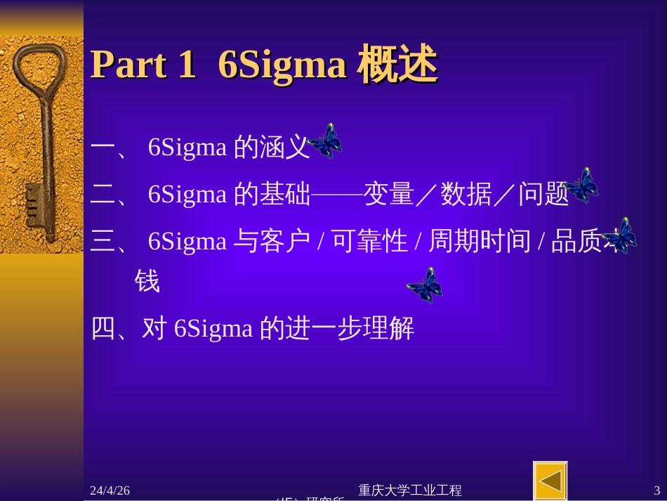 6 sigma理論_第3页