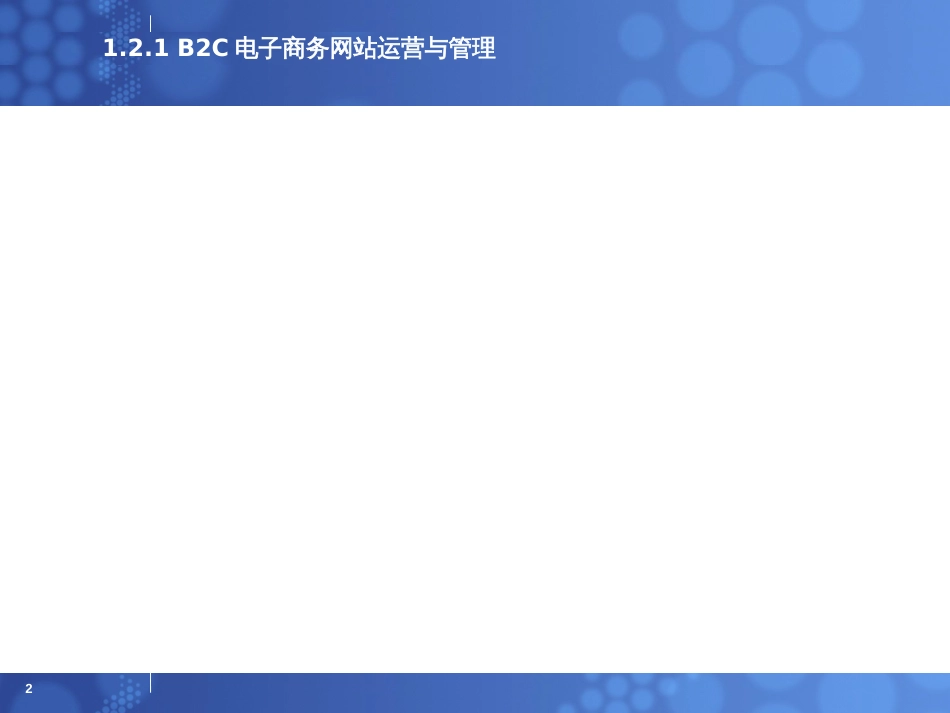 B2C电子商务网站运营与管理_第2页
