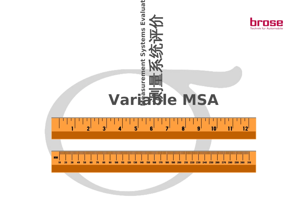 3-2Measure-MSA_第2页