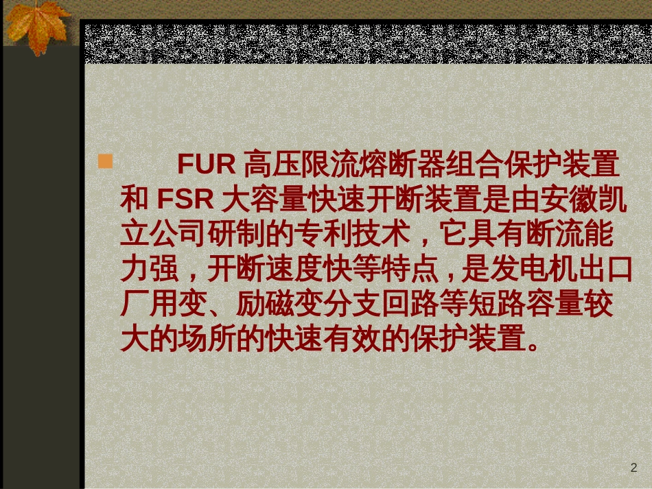 600MW汽轮发电机静止可控硅自并激励磁系统_第2页