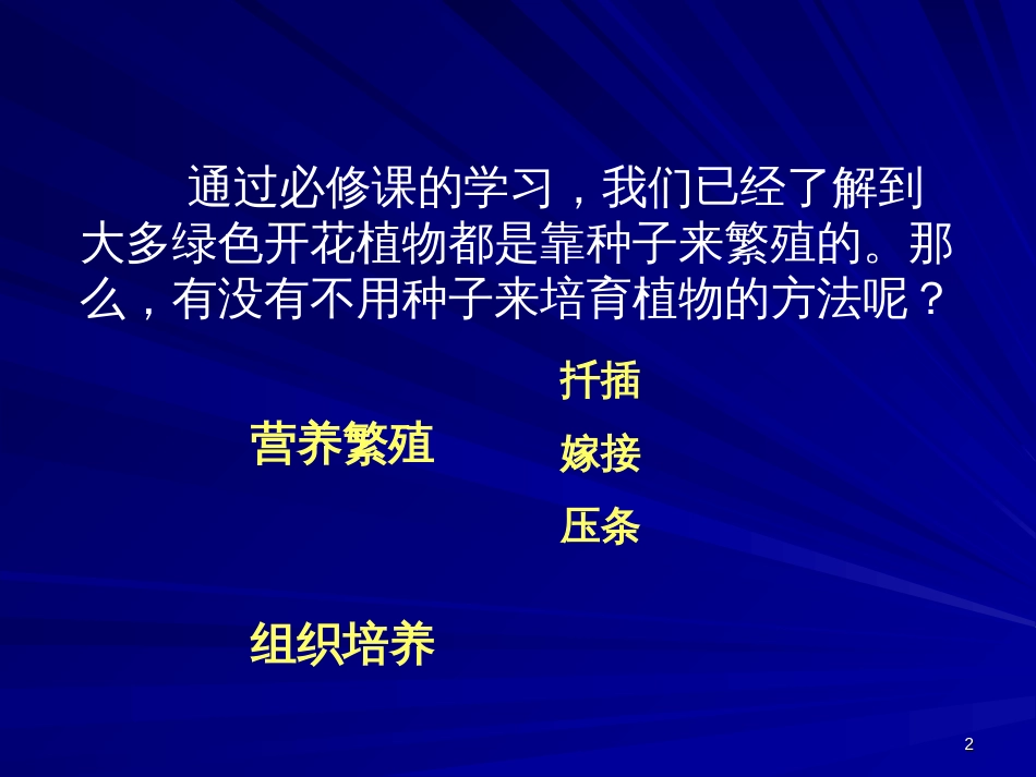 31菊花的组织培养1_第2页