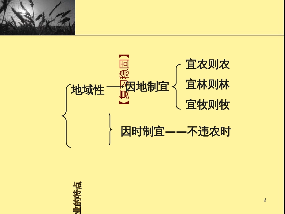 31第2课时农业地域类型_第1页