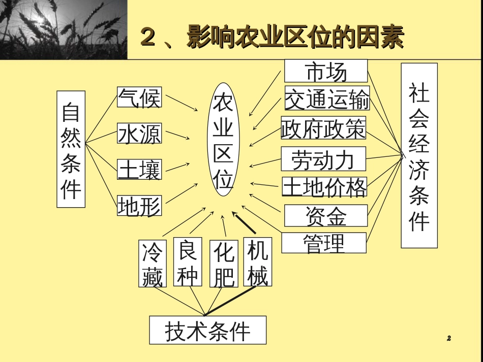 31第2课时农业地域类型_第2页