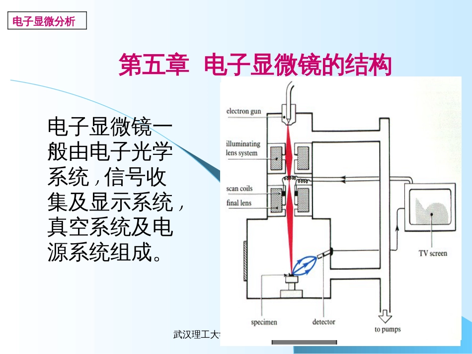 4电子显微镜(4)_第2页