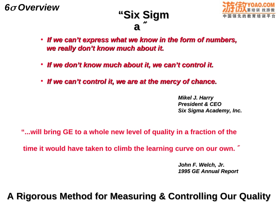 6西格玛(英文PPT53页)_第2页