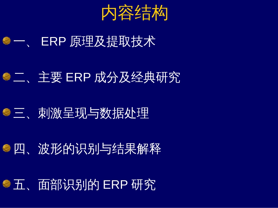 ERP入门基本知识_第2页