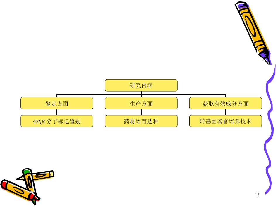 DNA分子标记用于中药鉴定_第3页