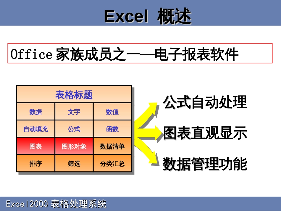 Excel电子表格处理系统_第2页