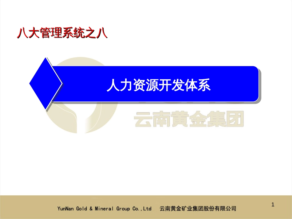 8人力资源开发体系_第1页