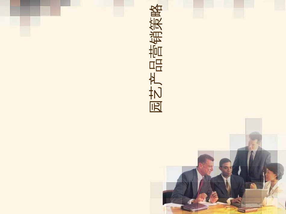 ddf园艺产品营销策略_第1页
