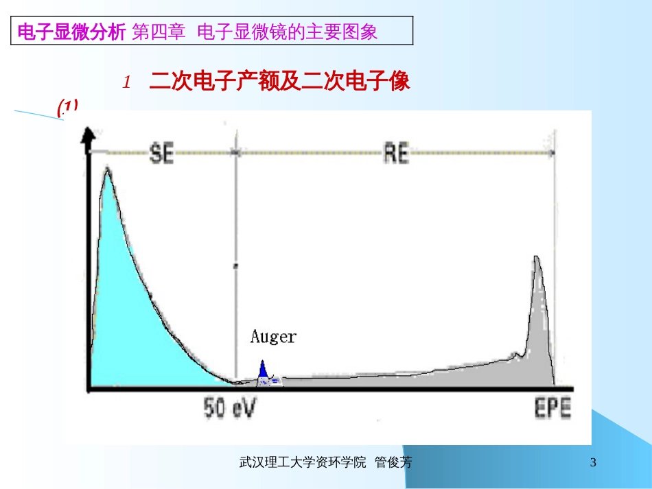 4电子显微镜(3)_第3页