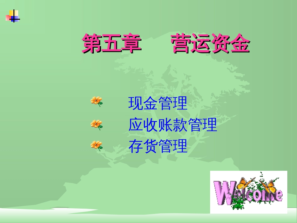 7第七章营运资金_第1页