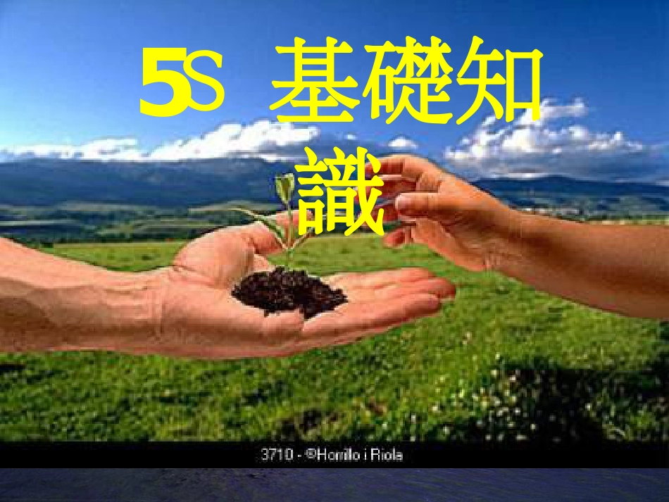 5S基础知识讲义_第1页