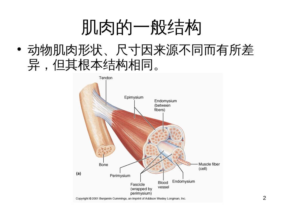 5动植物组织特征_第2页