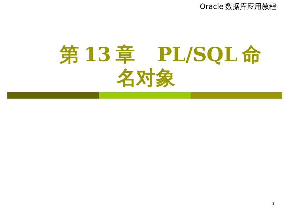 chap13OraclePLSQL命名对象_第1页