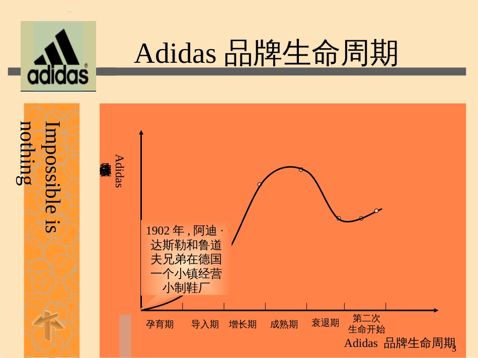 Adidas品牌生命周期_第3页