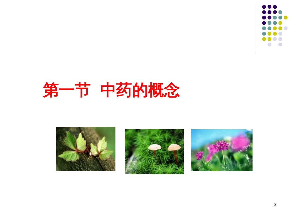 6章__中药管理_第3页