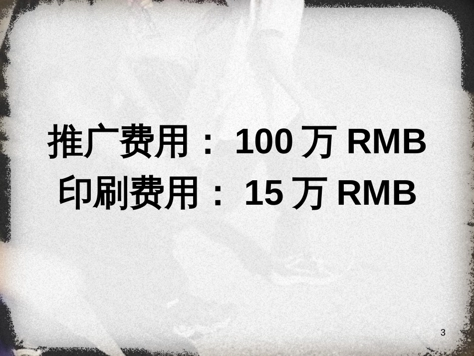 70志全年推广策略_第3页