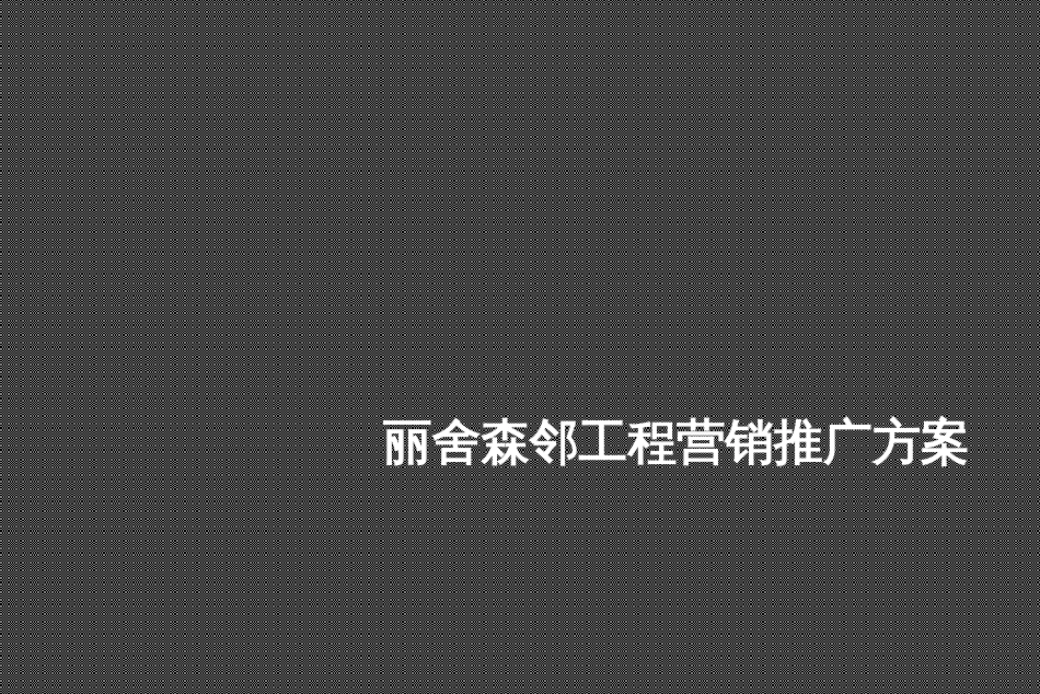 92漳州漳浦丽舍森邻项目营销推广23821256_第1页