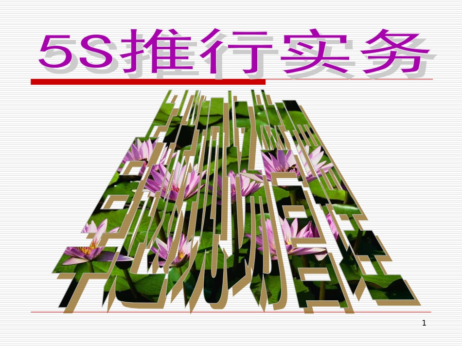 5S推行实务(卓越的现场管理1-3节)_第1页