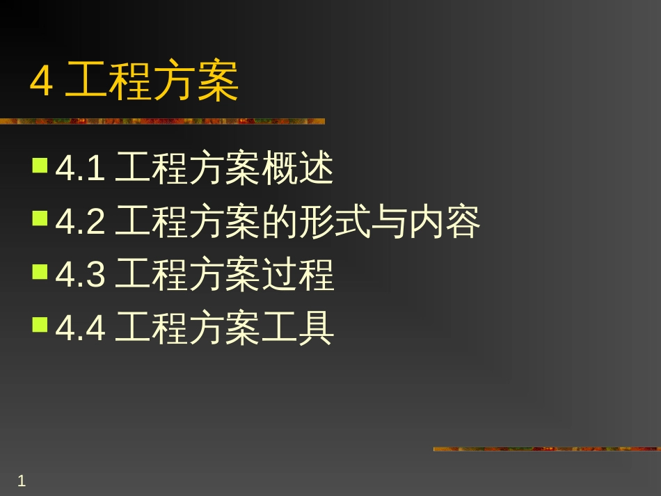 4项目计划(2)_第1页