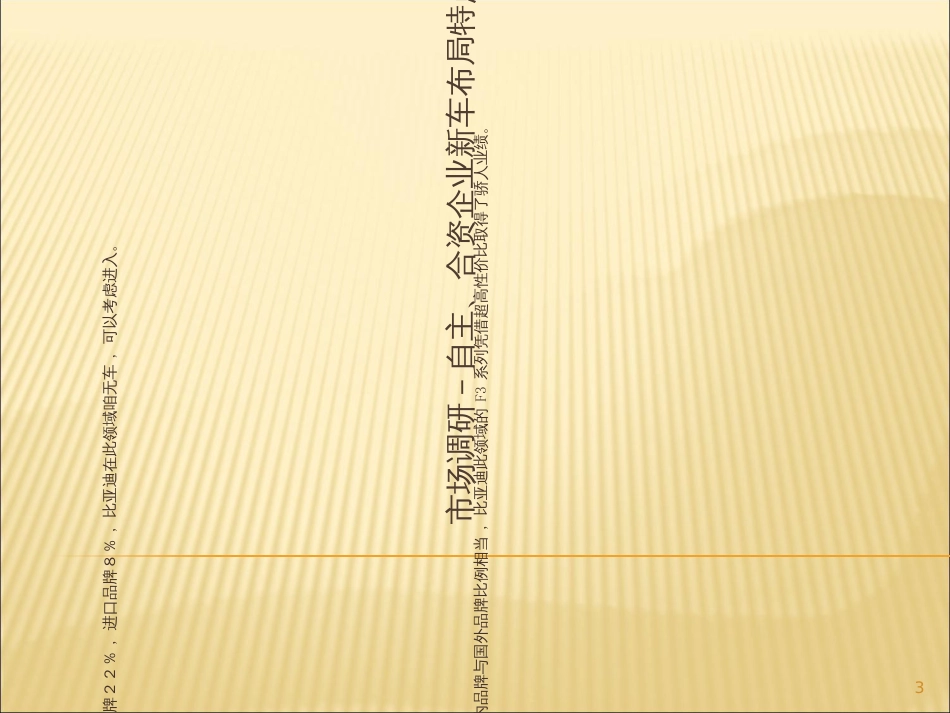 BYD营销策划方案_第3页