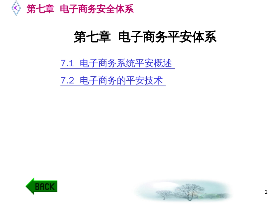 7-第七章电子商务安全体系_第2页