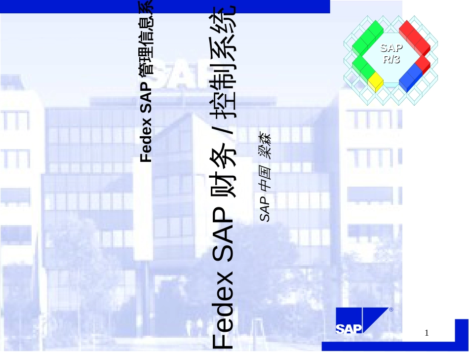 FedexSAP财务控制系统(ppt46)(1)_第1页