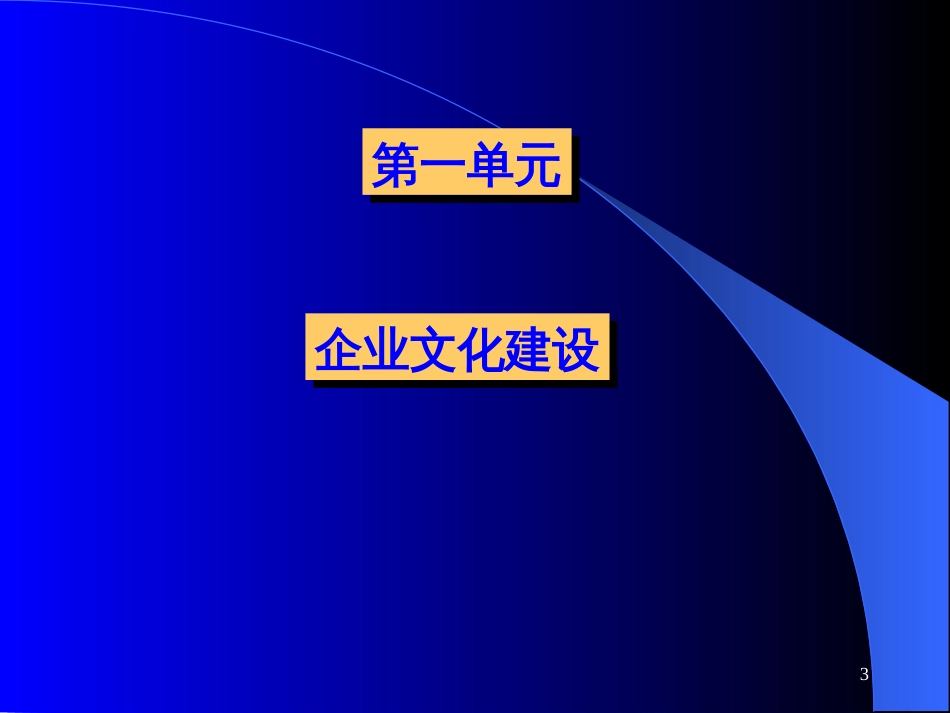 CEO管理运营之道经典实用课件之一21世纪企业总裁经典_第3页