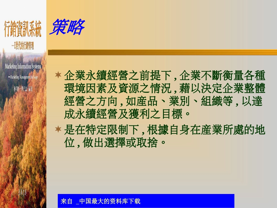 acb_策略性行销资讯系统之规划(ppt 45)_第3页