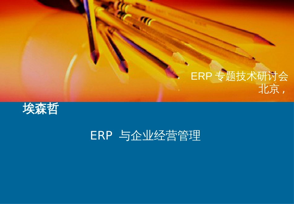 Accenture-ERP_与企业经营管理_第1页