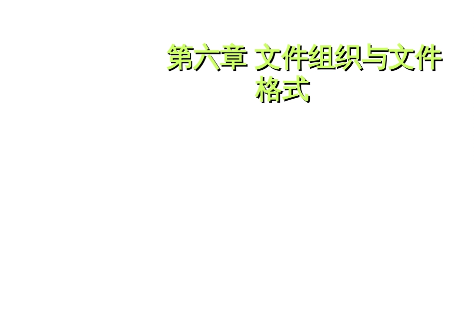 6文件组织与文件格式_第1页