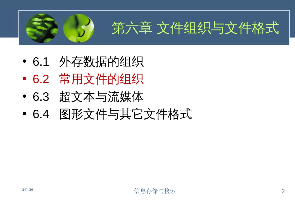 6文件组织与文件格式_第2页