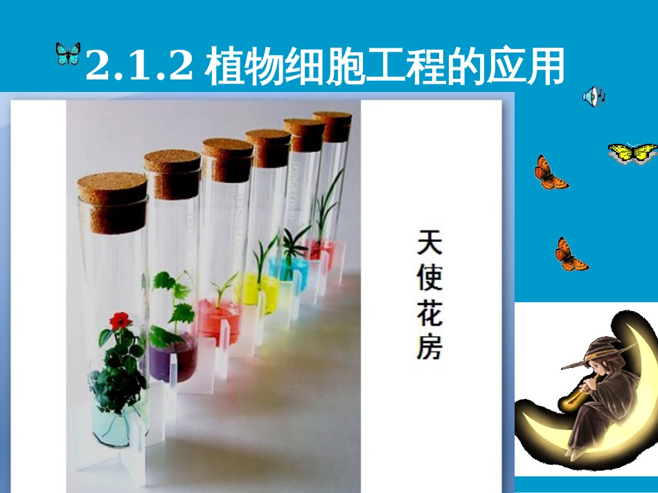 2-1-2_植物细胞工程的实际应用_第1页