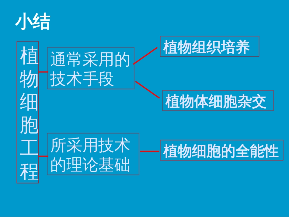 2-1-2_植物细胞工程的实际应用_第2页